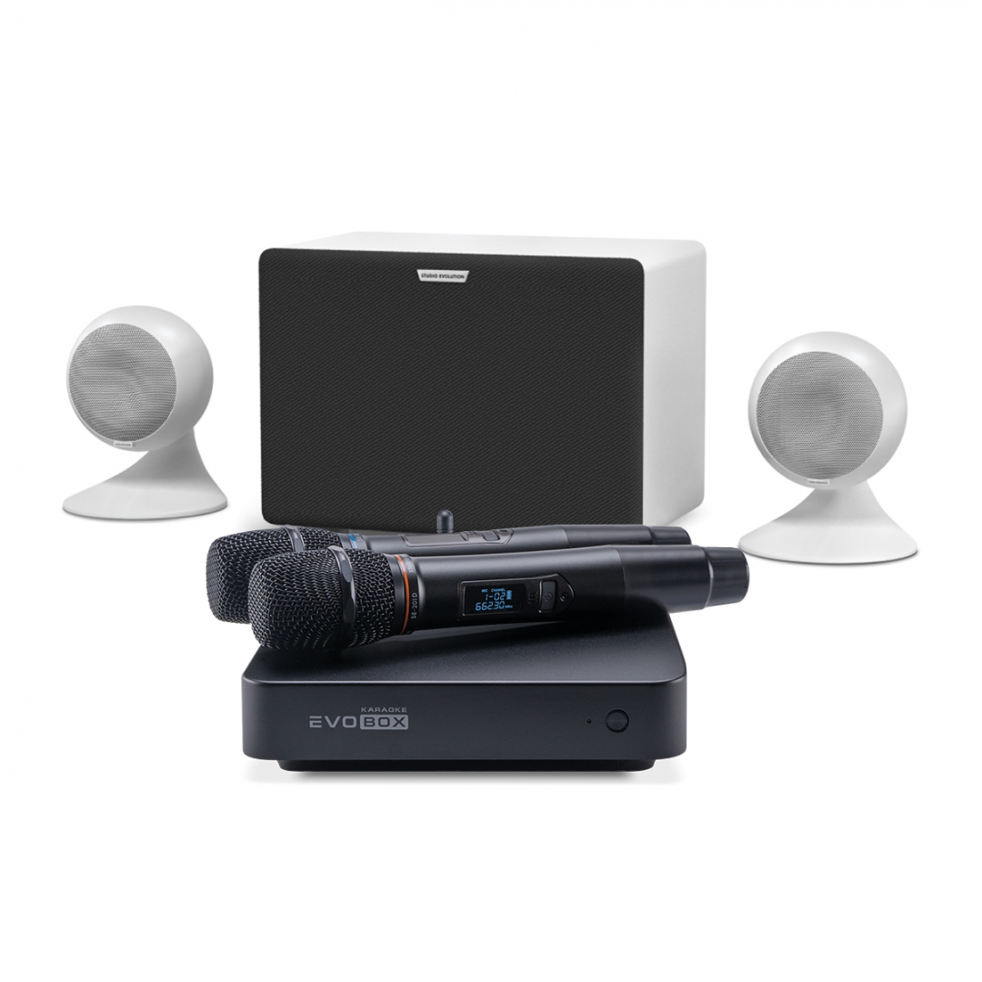 караоке-комплект EVOBOX Classic + EvoSound Sphere 2.1 в Феодосии