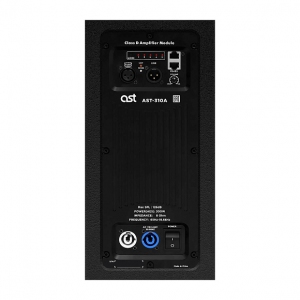Активная акустическая система AST-310A в Феодосии