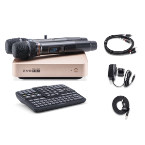 EVOBOX Classic караоке-система для дома в Феодосии