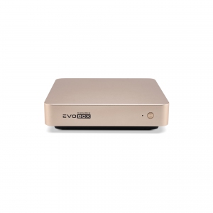 EVOBOX с микрофонами в Феодосии