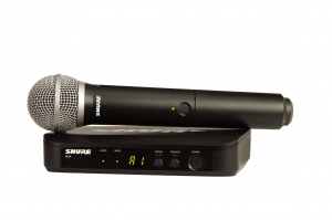 SHURE BLX24E/PG58 M17 вокальная радиосистема в Феодосии